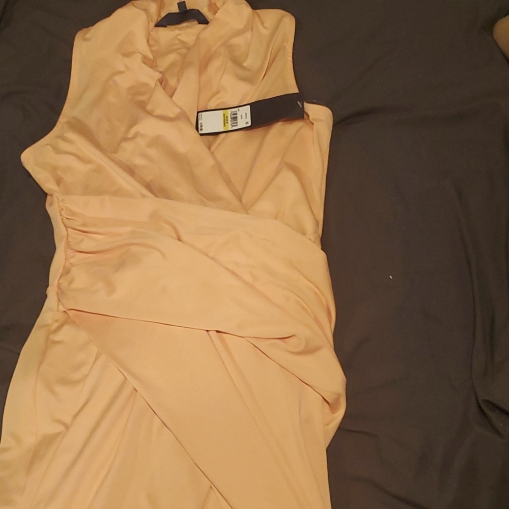 Rachel Roy dress